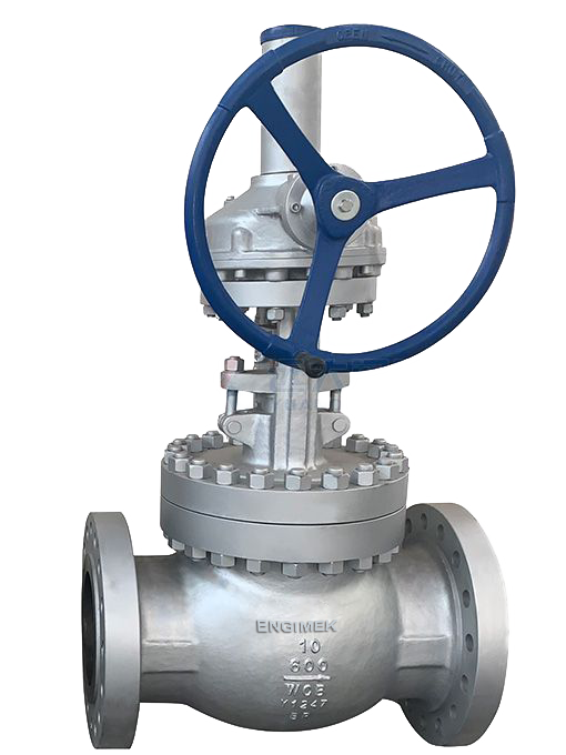 Globe Valves Engimek